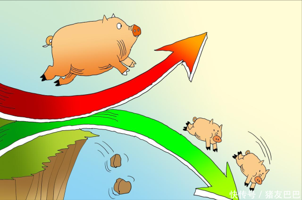 元宝枫资本 下跌“拦不住”，节后猪价“惯性”下跌！附：10月10日猪价