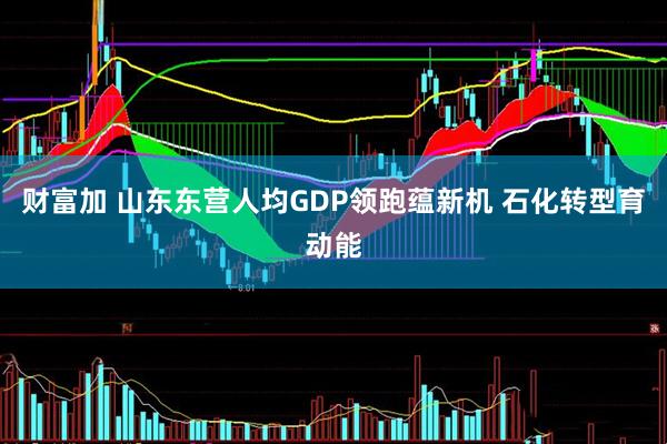 财富加 山东东营人均GDP领跑蕴新机 石化转型育动能